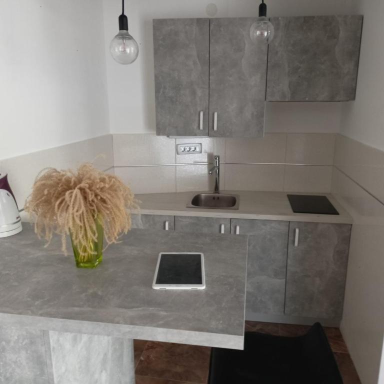 Apartmani Bella - Apartman sa 1 Spavaćom Sobom - 13