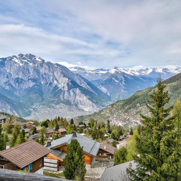 Chalet Bonheur - Chalet - 9