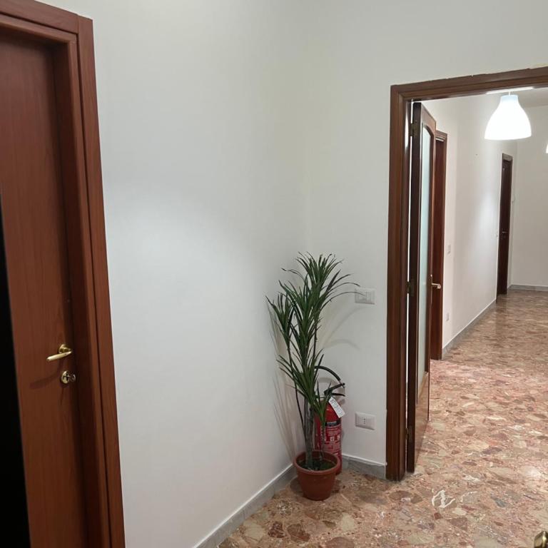 Capruzzi Holiday 240 - Single Room with Shared Bathroom - 10