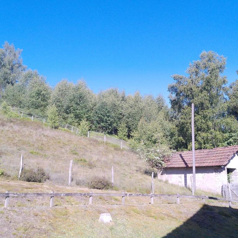 Le Bucheron au cœur du massif des Vosges 3 étoiles - Appartement 2 Chambres - 23