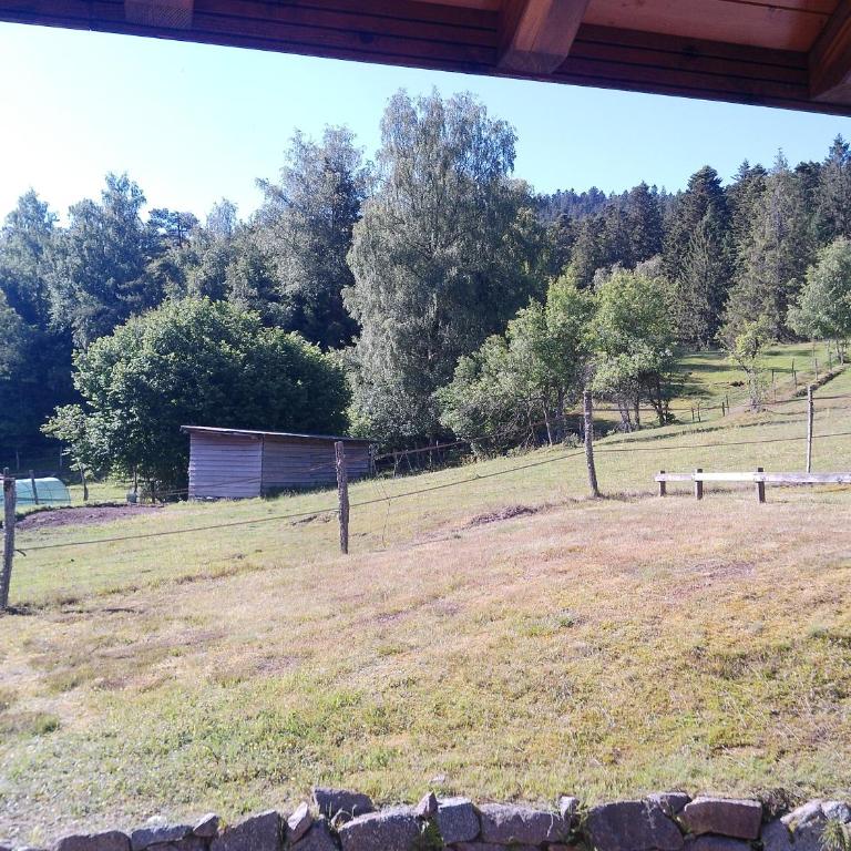 Le Bucheron au cœur du massif des Vosges 3 étoiles - Appartement 2 Chambres - 24