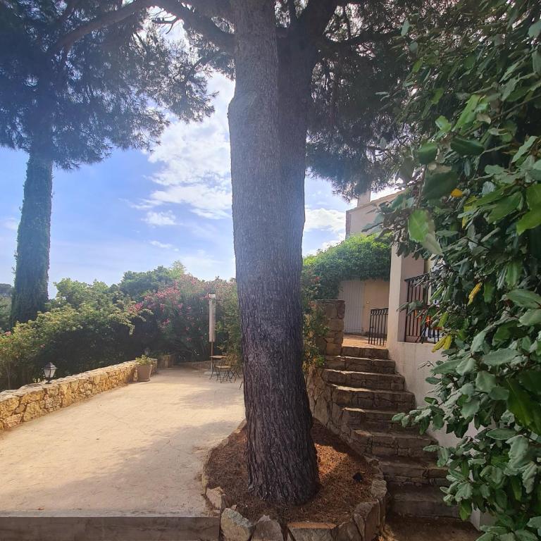 SUPERBE VILLA-DOMAINE AVEC GOLF PISCINE ET TENNIS - Villa 3 Chambres - 28