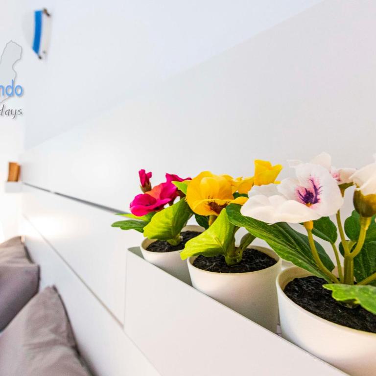 Vivienda Vacacional Casita del Viento - One-Bedroom Apartment - 16