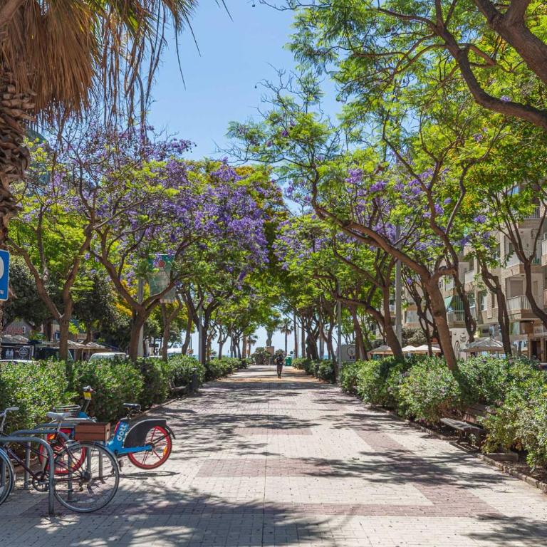 Altamira 23 - Apartamento - 20