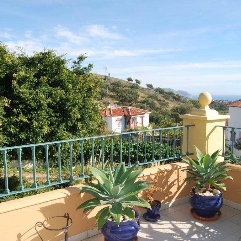 AP191 - Senorio de Capistrano - Apartamento con vistas al jardín - 26