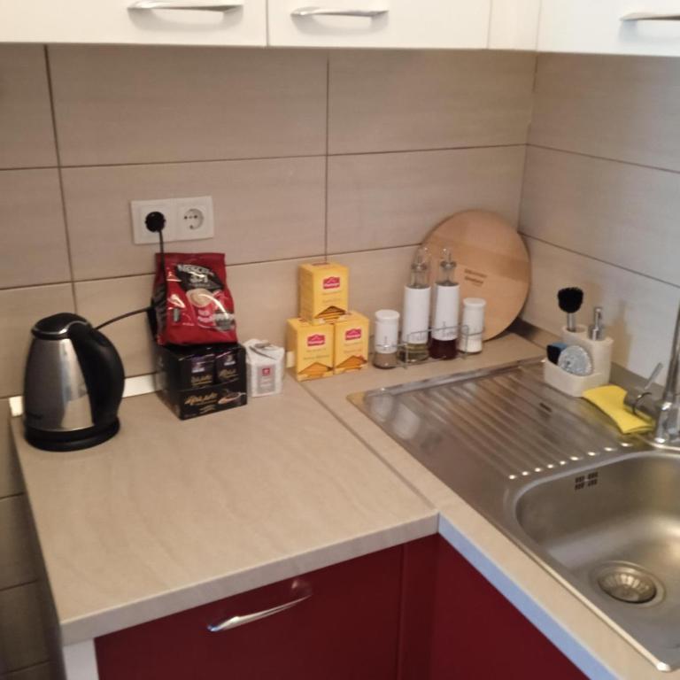 Apartment Lazarus Banja Luka - Apartman sa 1 Spavaćom Sobom - 17