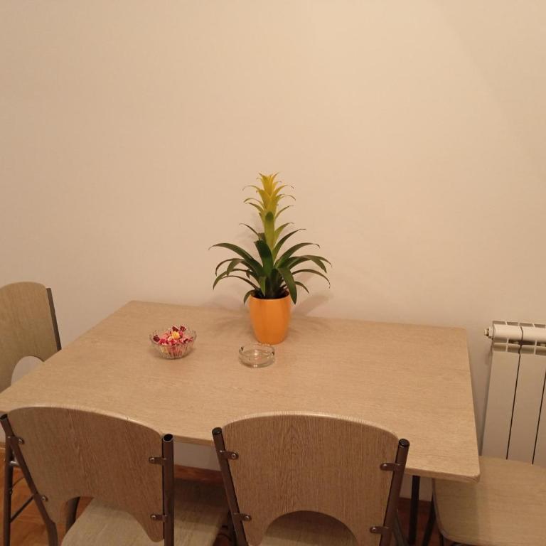 Apartment Lazarus Banja Luka - Apartman sa 1 Spavaćom Sobom - 19