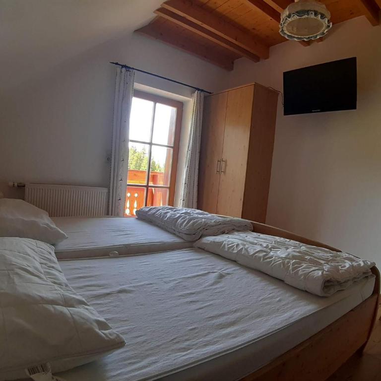 Lachtalhütte - Casa Vacanze - 13
