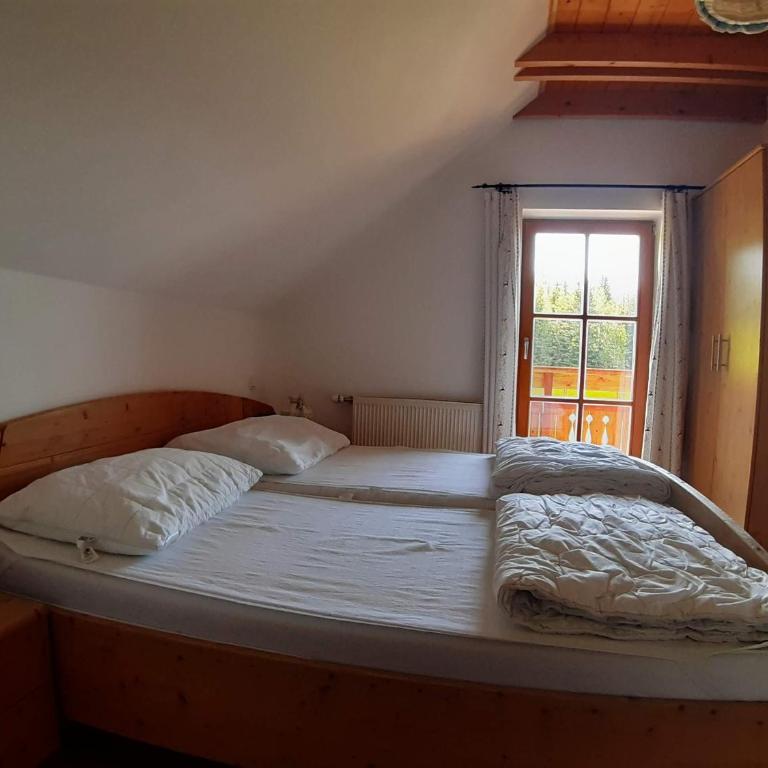 Lachtalhütte - Casa Vacanze - 16