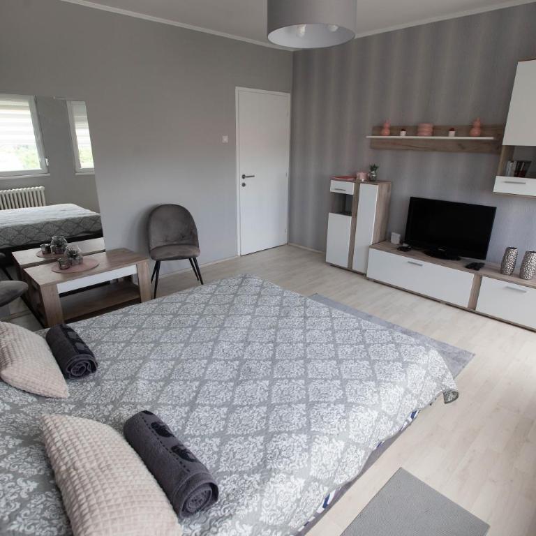 APARTMAN DANICA - Apartment - 2