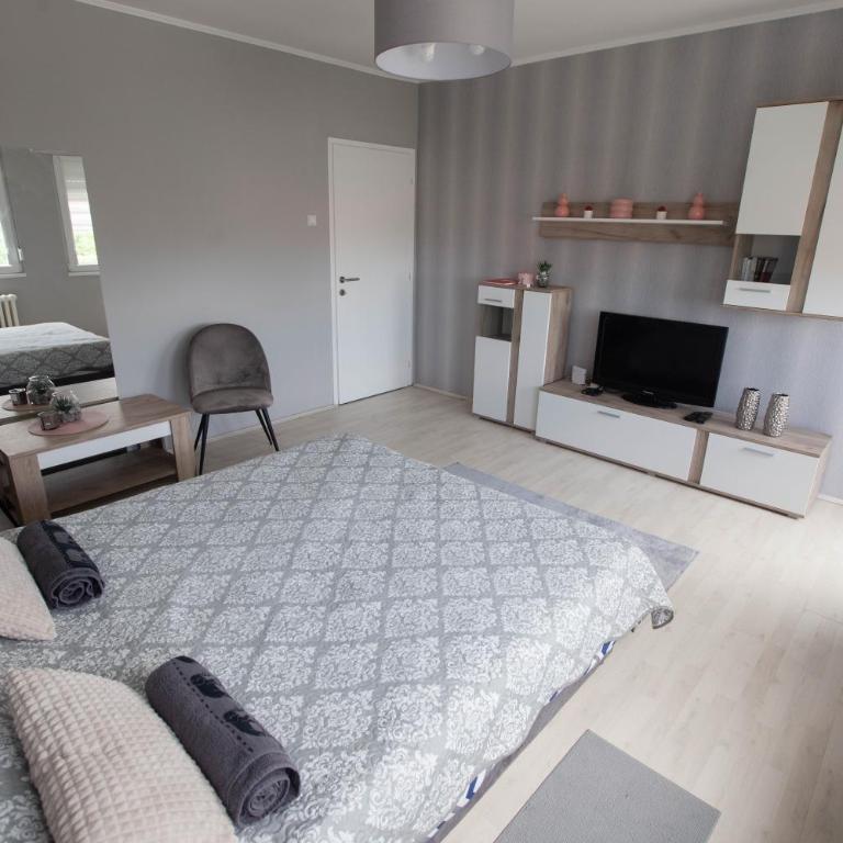 APARTMAN DANICA - Apartment - 5