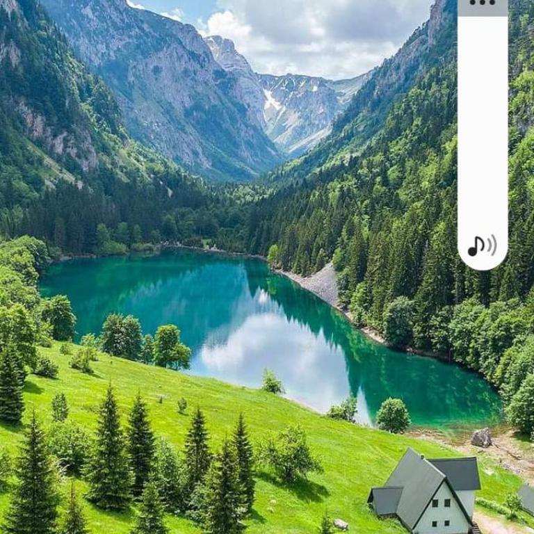 Apartments Avramovic - Bungalow - Two-Bedroom Apartment - 14