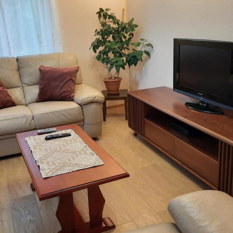 Apartment Home Popovic - Apartment - 9