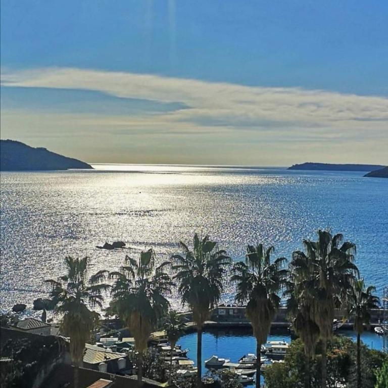 Apartments Dikan - Apartment with Balcony - 4