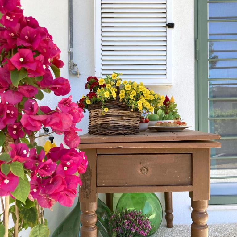 Don Ciccio Capashome - Appartamento con Vista Giardino - 16