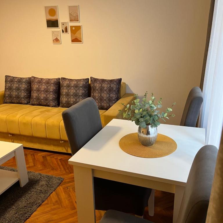 Apartman Mijailović 3 - Apartman sa 1 Spavaćom Sobom - 11