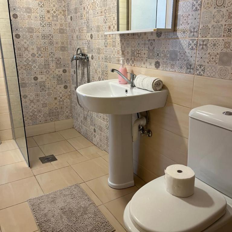 Apartman Mijailović 3 - Apartman sa 1 Spavaćom Sobom - 18
