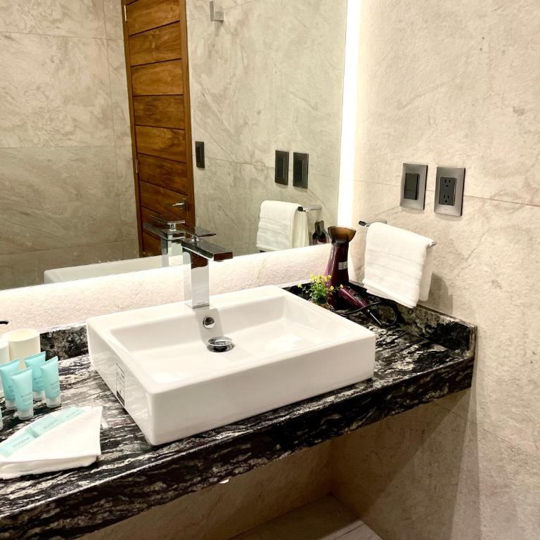 Condesa Lives - Apartamento - Planta baja - 4