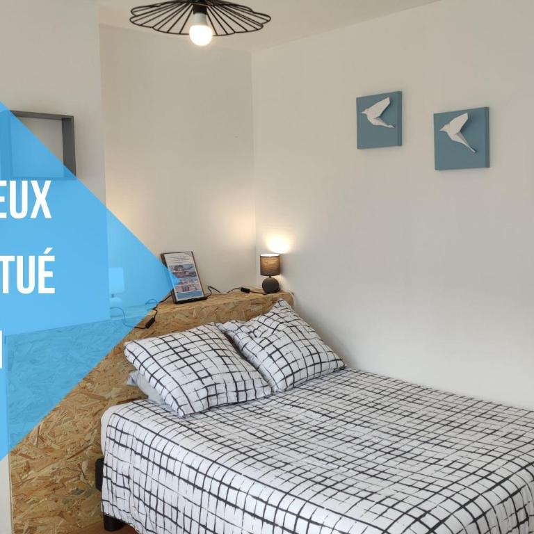 Les lumières du phare - Appartement 1 Chambre - 1