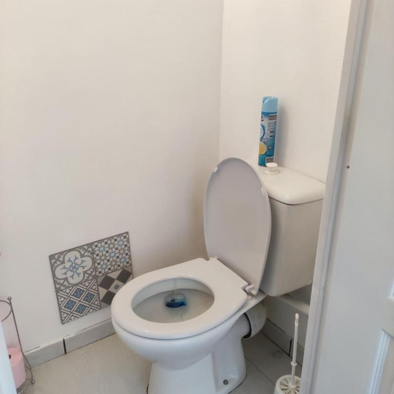 Les lumières du phare - Appartement 1 Chambre - 10