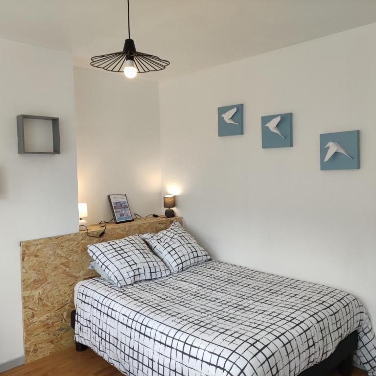 Les lumières du phare - Appartement 1 Chambre - 3