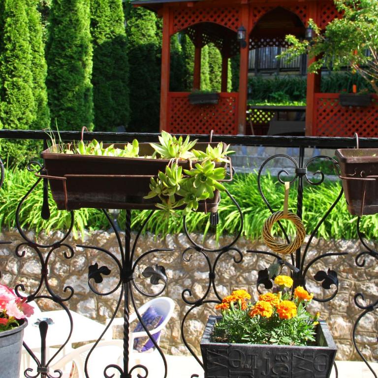 Downtown Green Oasis Apartments - Apartman sa 2 Spavaće Sobe - 7