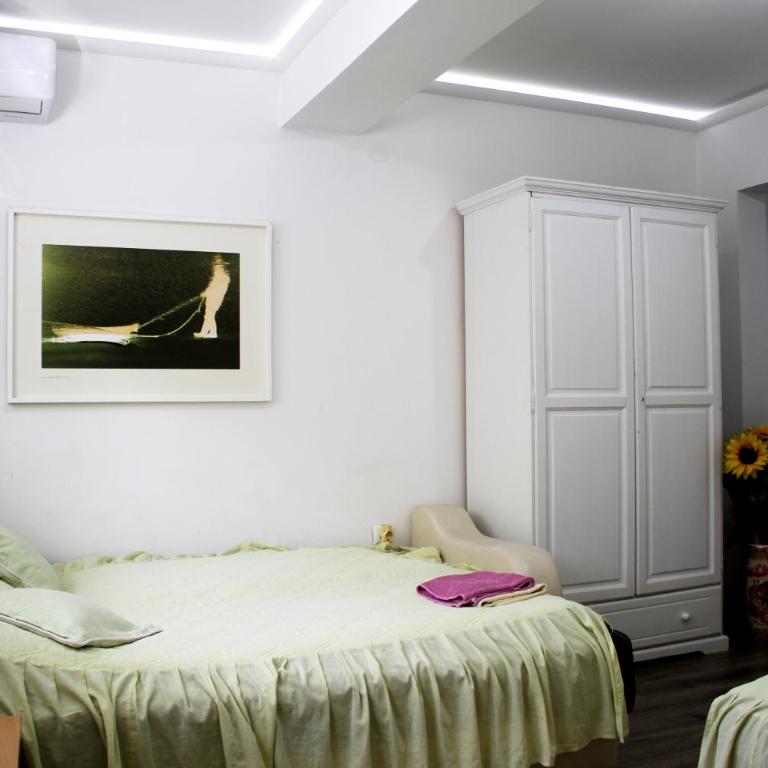 Downtown Green Oasis Apartments - Standardni Studio - 3