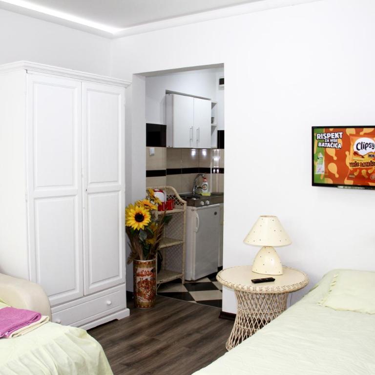 Downtown Green Oasis Apartments - Standardni Studio - 5