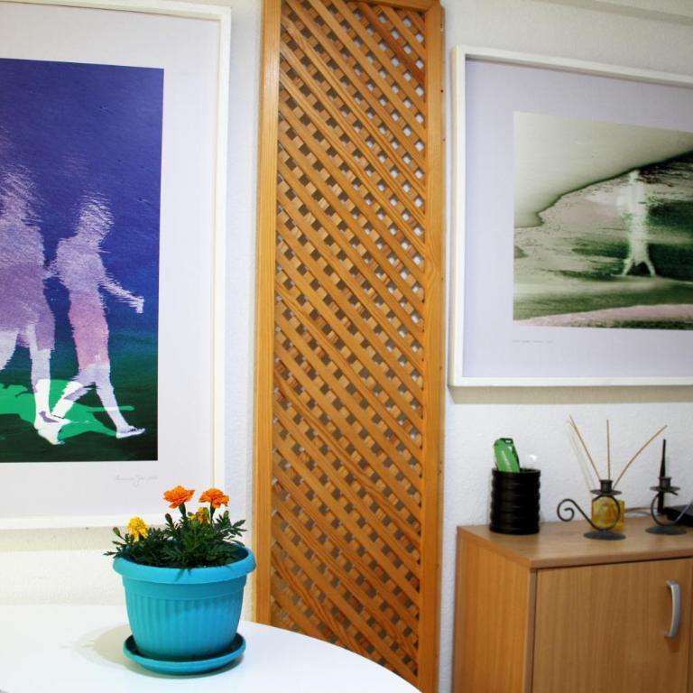 Downtown Green Oasis Apartments - Standardni Studio - 10