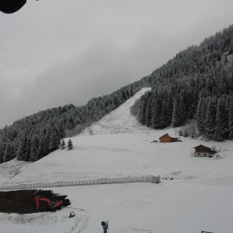 Studio 25m² au pied des montagnes, balcon, idéal pour 4 pers - Studio - 2