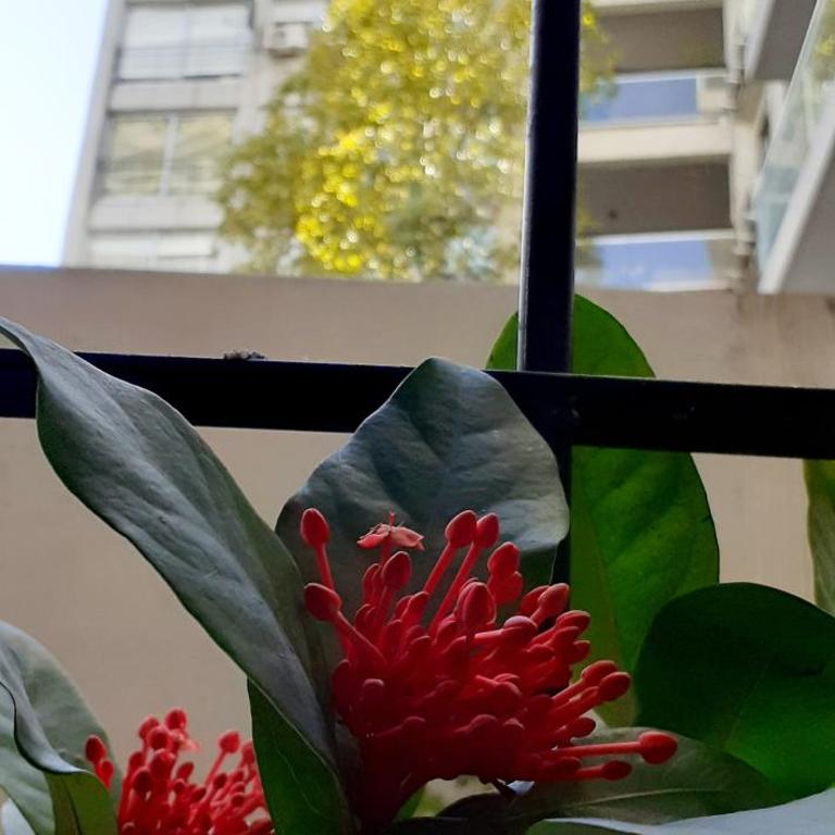 Oro Palermo - Apartamento de 1 dormitorio - 11