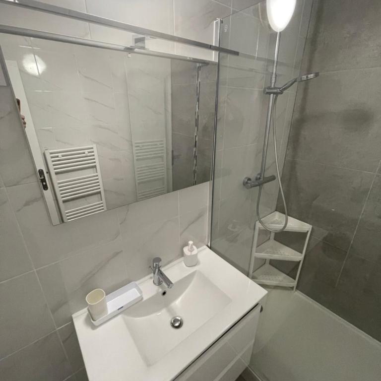 Le Grand DOLLFUS, 90m2 de charme au coeur de ville - Apartment - 5