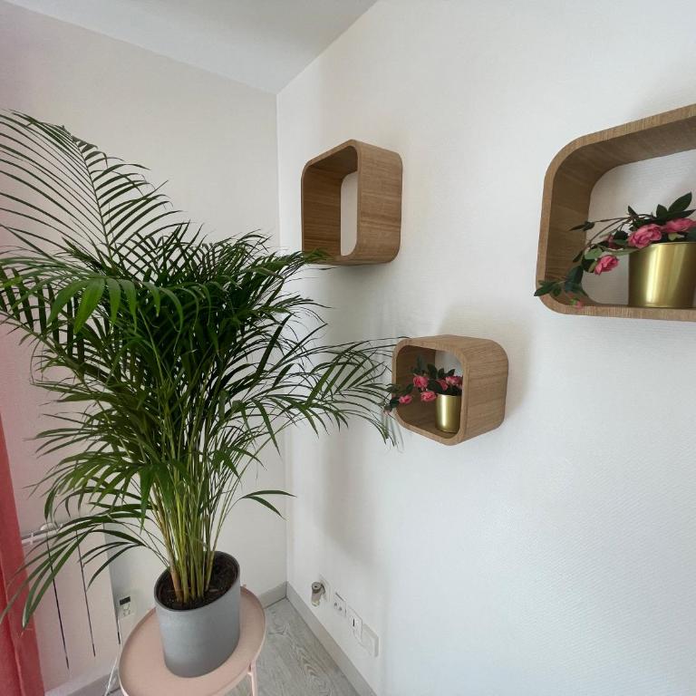 Le Grand DOLLFUS, 90m2 de charme au coeur de ville - Apartment - 10