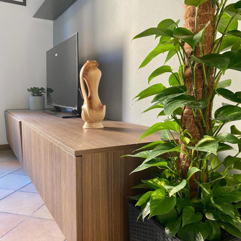 CasaLonghi - Appartamento Superior - 20