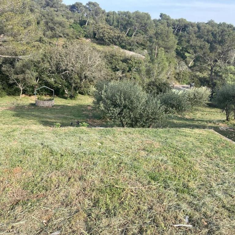Magnifique villa de luxe au coeur de la garrigue - Villa - 17