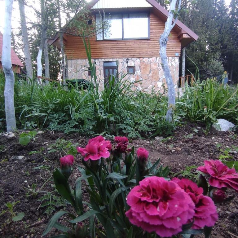 LARIX DURMITORES Apartments - One-Bedroom Apartment - 6