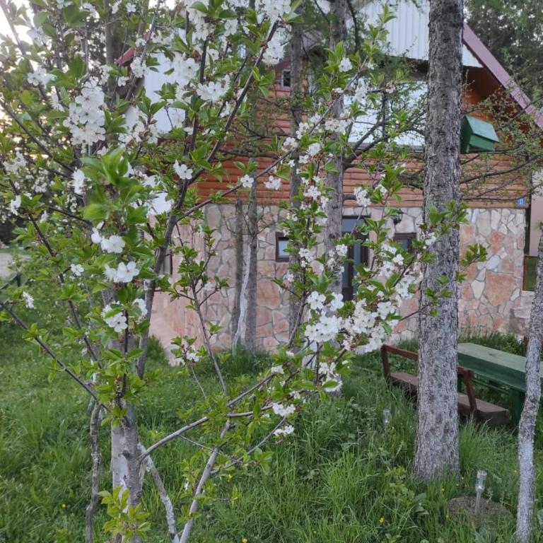 LARIX DURMITORES Apartments - One-Bedroom Apartment - 9