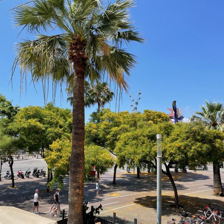 Som Nit Port Vell - Superior Twin Room with Port View - 23