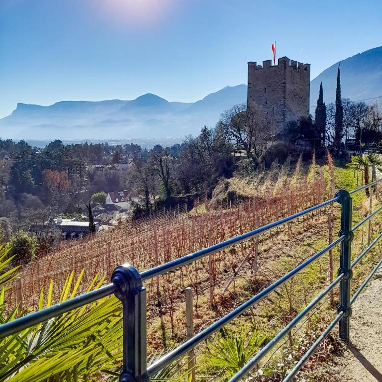 Appartamento Merano nel cuore - One-Bedroom Apartment - 49