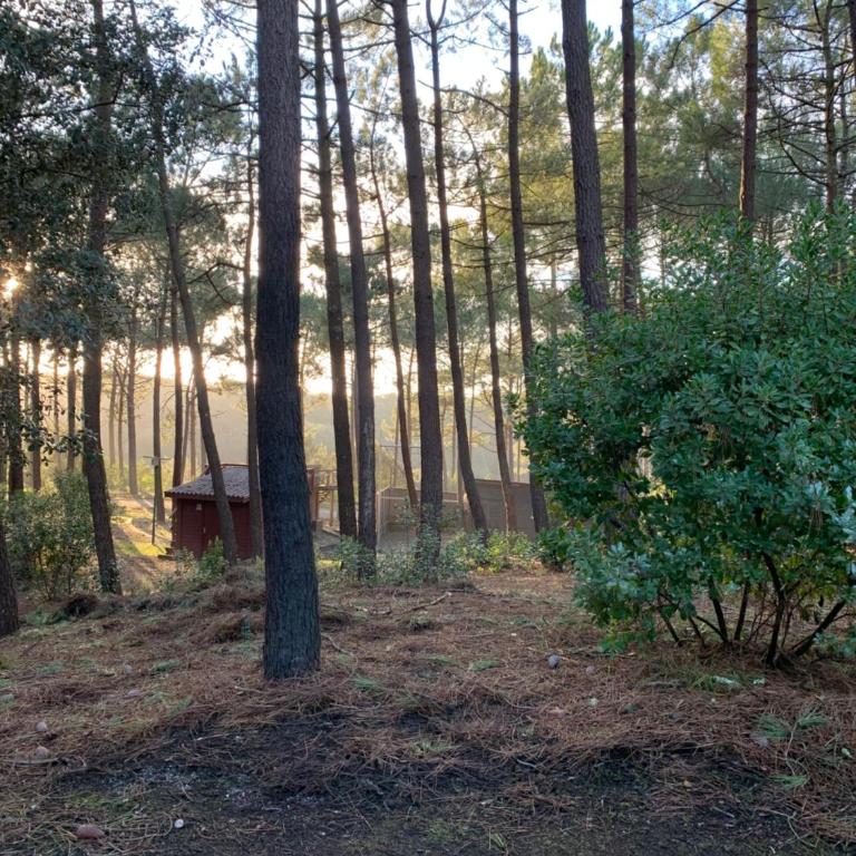 AGREABLE T2 LISIERE DU GOLF LACANAU OCEAN - Apartamento de 1 dormitorio - 5