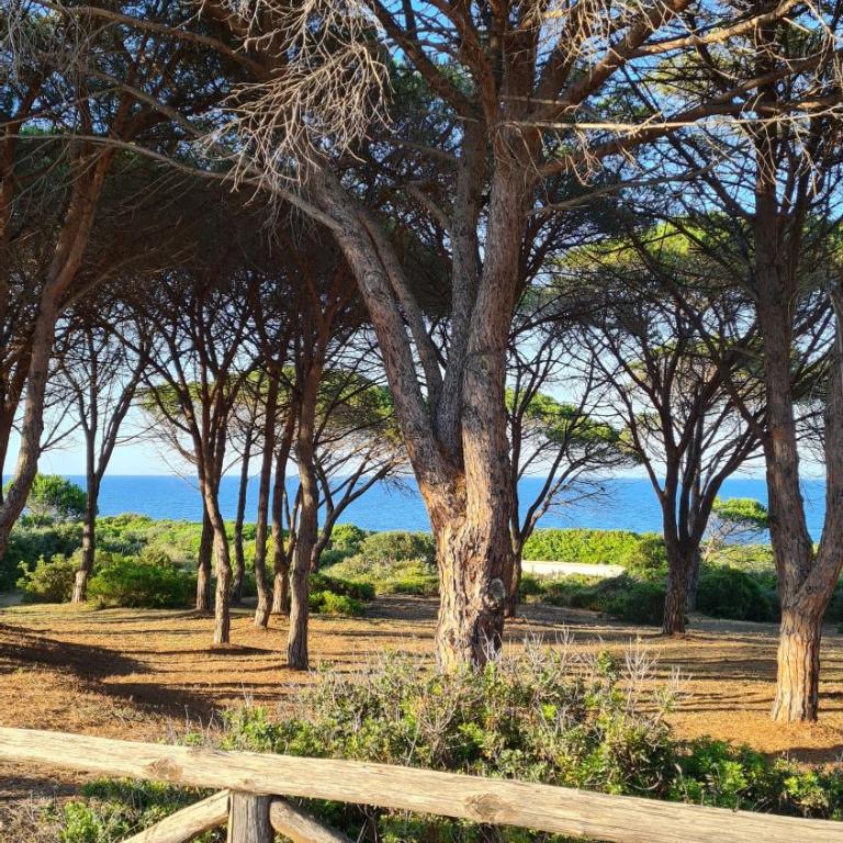 Villa vista pineta - 90 mt dalla spiaggia - Appartamento con Vista Giardino - 35
