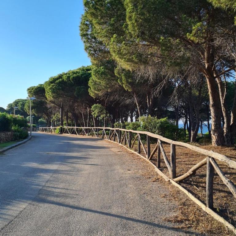 Villa vista pineta - 90 mt dalla spiaggia - Appartamento con Vista Giardino - 34