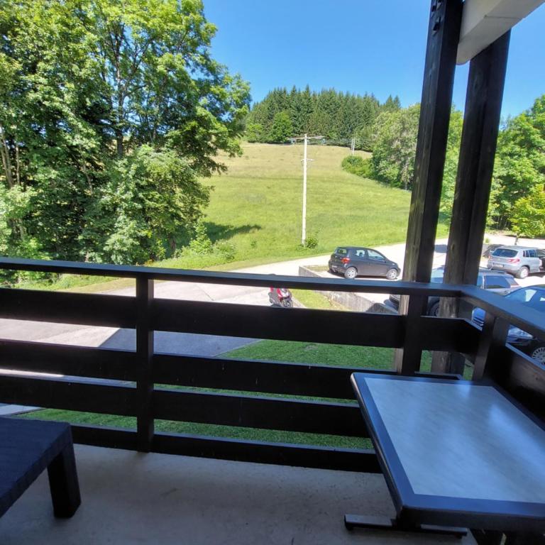 Appartement vacances à la montagne - Massif des Brasses - Appartement 1 Chambre - 6