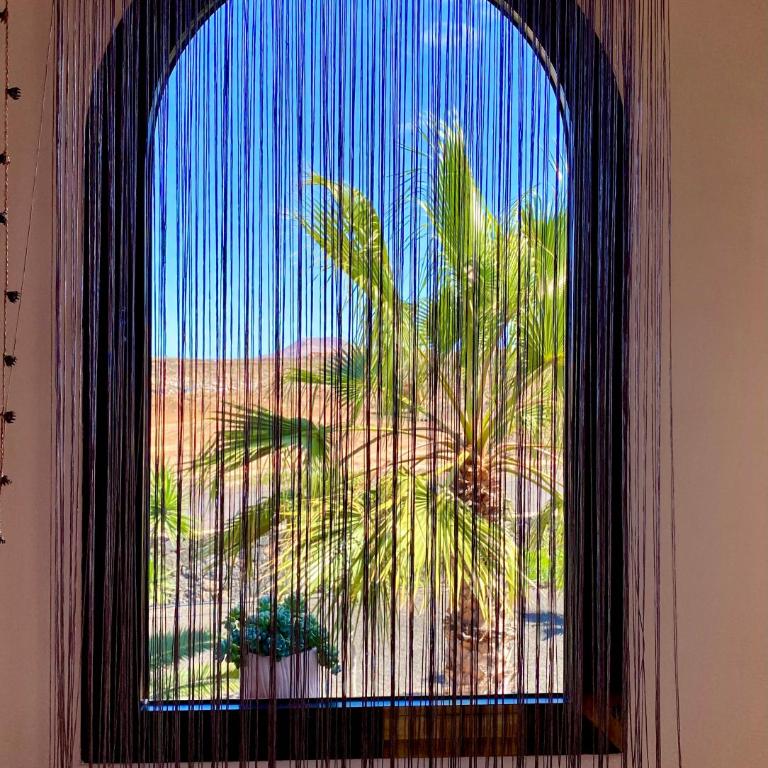 Fuerteventura Apartments Corralejo - One-Bedroom Apartment - 30