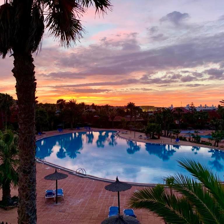 Fuerteventura Apartments Corralejo - One-Bedroom Apartment - 31