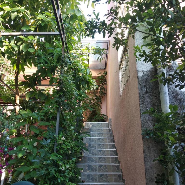 Villa Stanivukovic - Jednokrevetna Soba sa Tušem - 5