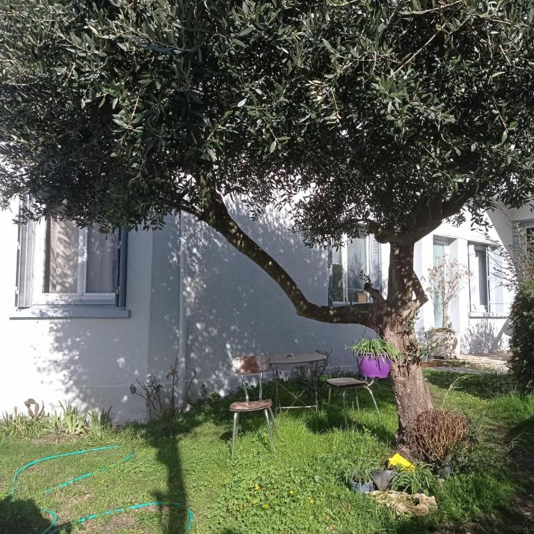 Studio indépendant, avec piscine et jardin, direct gare aéroport, 1 lit pour 2 personnes Direct Gare Aéroport - One-Bedroom Apartment - 3