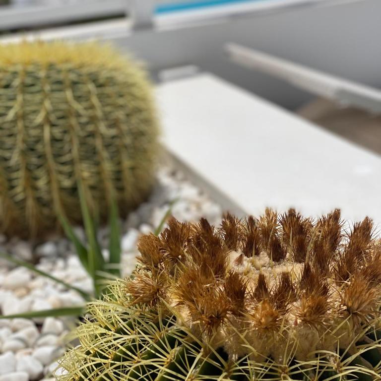 Flower Beach Deluxe - Apartamento con vistas a la piscina - 7