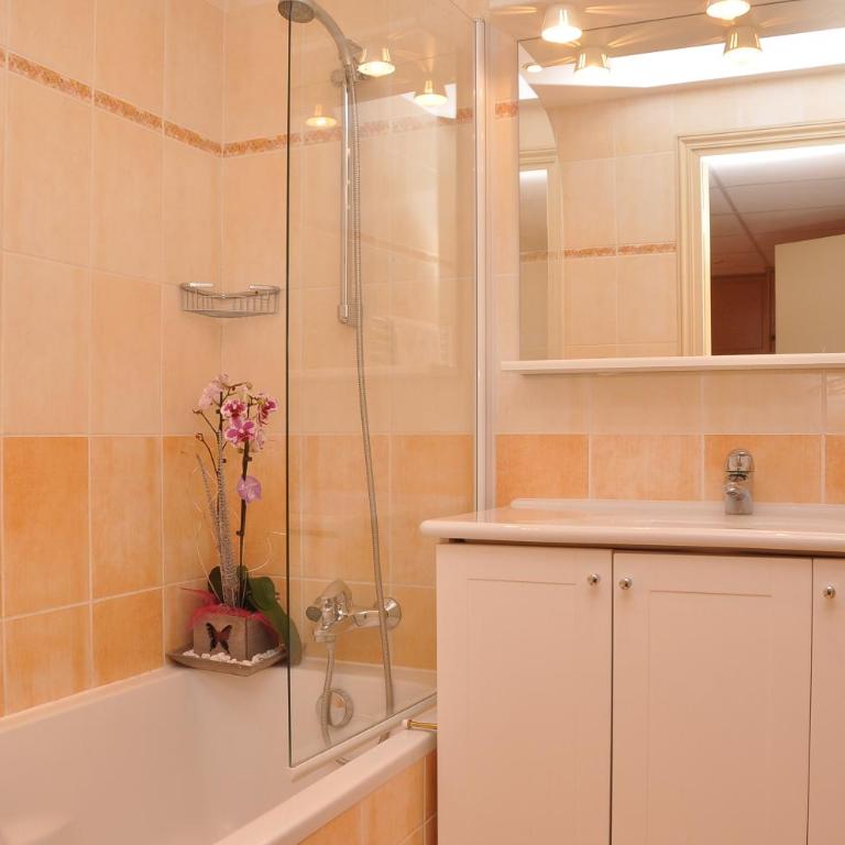 Appart Hotel Lou Castelet - Apartment mit 1 Schlafzimmer + Wohnzimmer (4 Personen) - 14