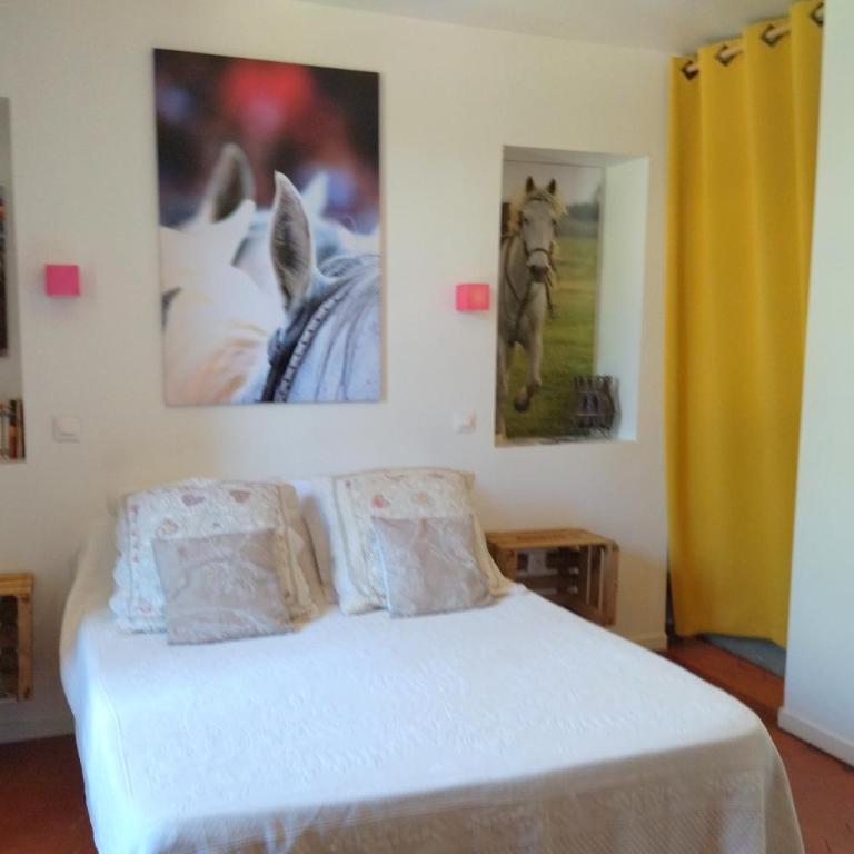Mas de Bellegou - Chambre Double - Vue sur Jardin - 2